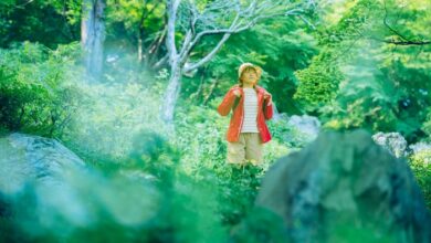 طفل يكتشف غابة تتكلم في قصة أطفال خيالية