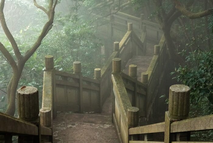 بوابة سحرية وسط الغابة في قصة رحلة إلى أرض العجائب